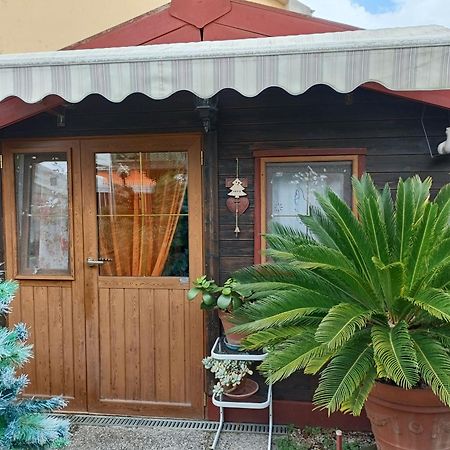 Nonna Lori'S Chalet Pisa Zona Stazione E Aeroporto Luaran gambar